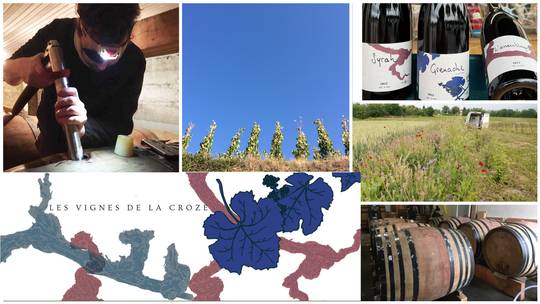 Les vignes de Chatiou