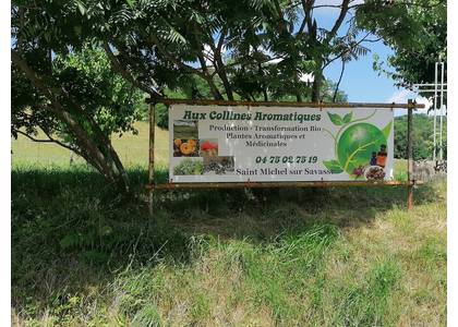 Photo Aux Collines Aromatiques